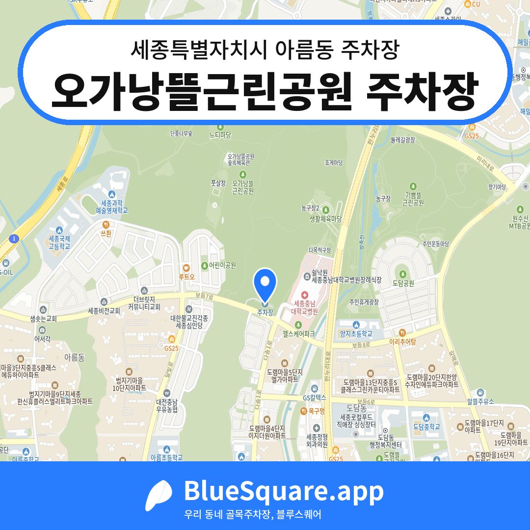 오가낭뜰근린공원 주차장 위치 지도 — 세종 세종특별자치시 아름동 | 블루스퀘어 주차