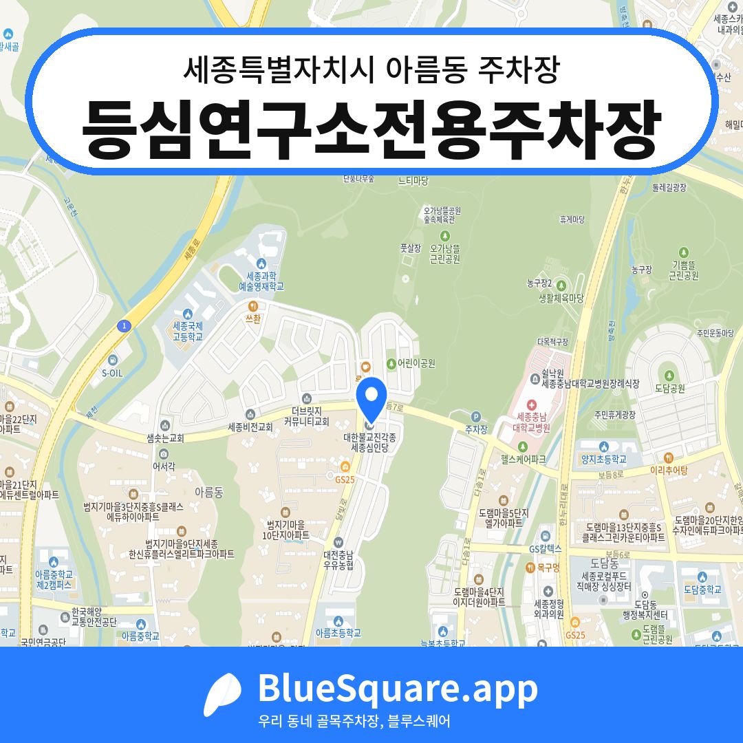 등심연구소전용주차장 위치 지도 — 세종 세종특별자치시 아름동 | 블루스퀘어 주차