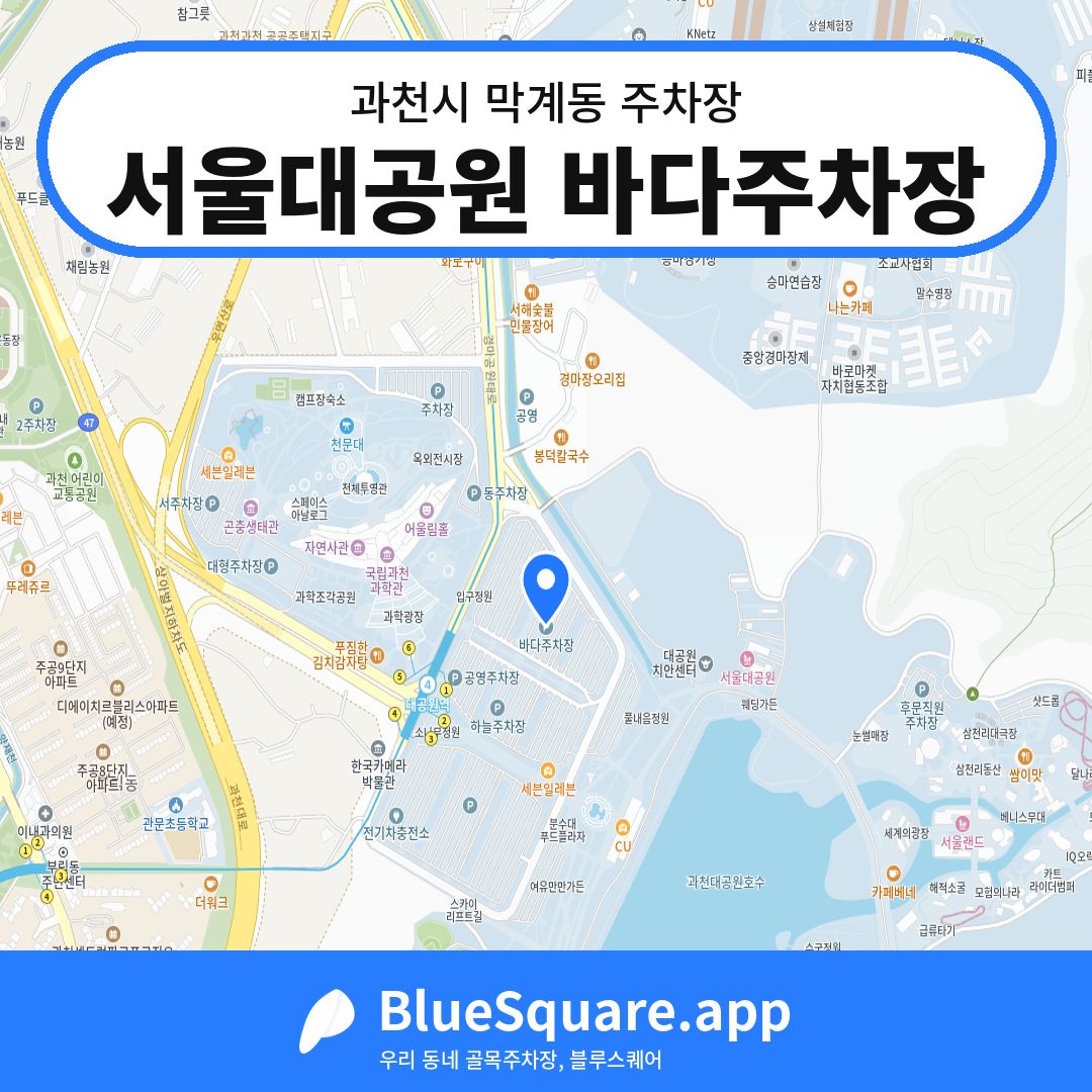 서울대공원 바다주차장 위치 지도 — 경기 과천시 막계동 | 블루스퀘어 주차