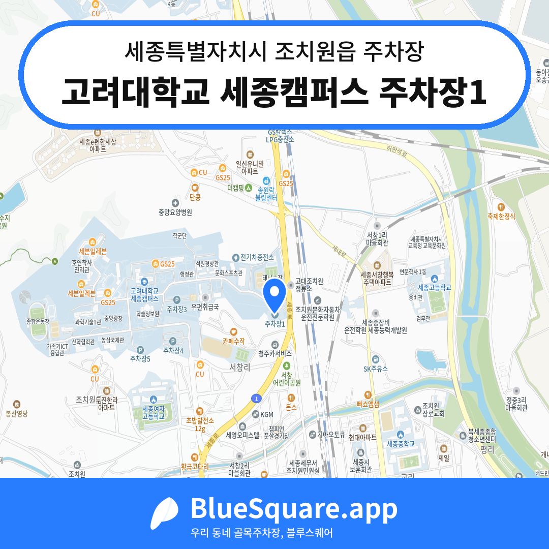 고려대학교 세종캠퍼스 주차장1 위치 지도 — 세종 세종특별자치시 조치원읍 | 블루스퀘어 주차