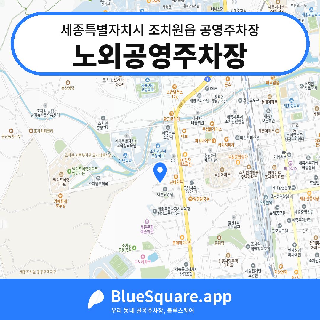 노외공영주차장 위치 지도 — 세종 세종특별자치시 조치원읍 | 블루스퀘어 주차