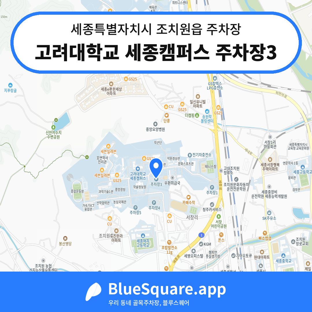 고려대학교 세종캠퍼스 주차장3 위치 지도 — 세종 세종특별자치시 조치원읍 | 블루스퀘어 주차