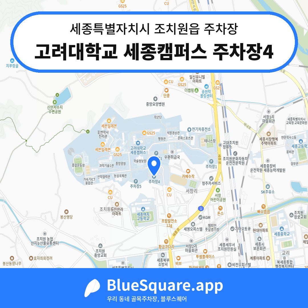 고려대학교 세종캠퍼스 주차장4 위치 지도 — 세종 세종특별자치시 조치원읍 | 블루스퀘어 주차