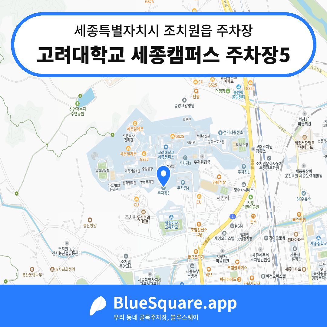 고려대학교 세종캠퍼스 주차장5 위치 지도 — 세종 세종특별자치시 조치원읍 | 블루스퀘어 주차