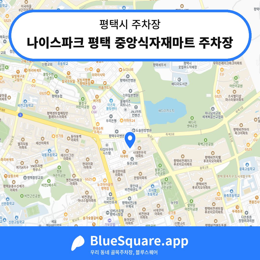 나이스파크 평택 중앙식자재마트 주차장 위치 지도 — 경기 평택시 | 블루스퀘어 주차