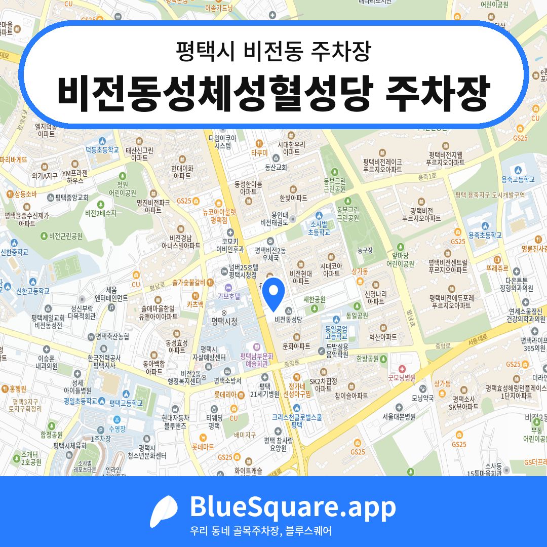 비전동성체성혈성당 주차장 위치 지도 — 경기 평택시 비전동 | 블루스퀘어 주차