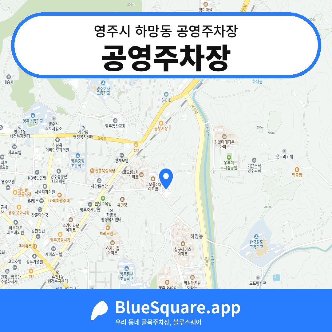 공영주차장 위치 지도 — 경북 영주시 하망동 | 블루스퀘어 주차