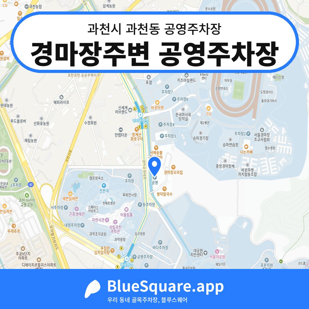경마장주변 공영주차장 위치 지도 — 경기 과천시 과천동 | 블루스퀘어 주차