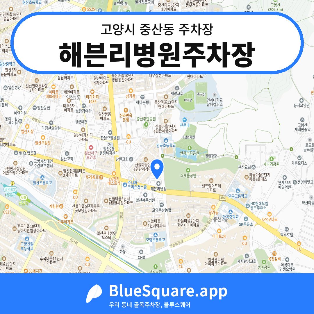 해븐리병원주차장 위치 지도 — 경기 고양시 중산동 | 블루스퀘어 주차
