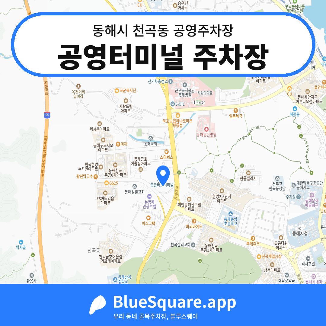 공영터미널 주차장 위치 지도 — 강원 동해시 천곡동 | 블루스퀘어 주차