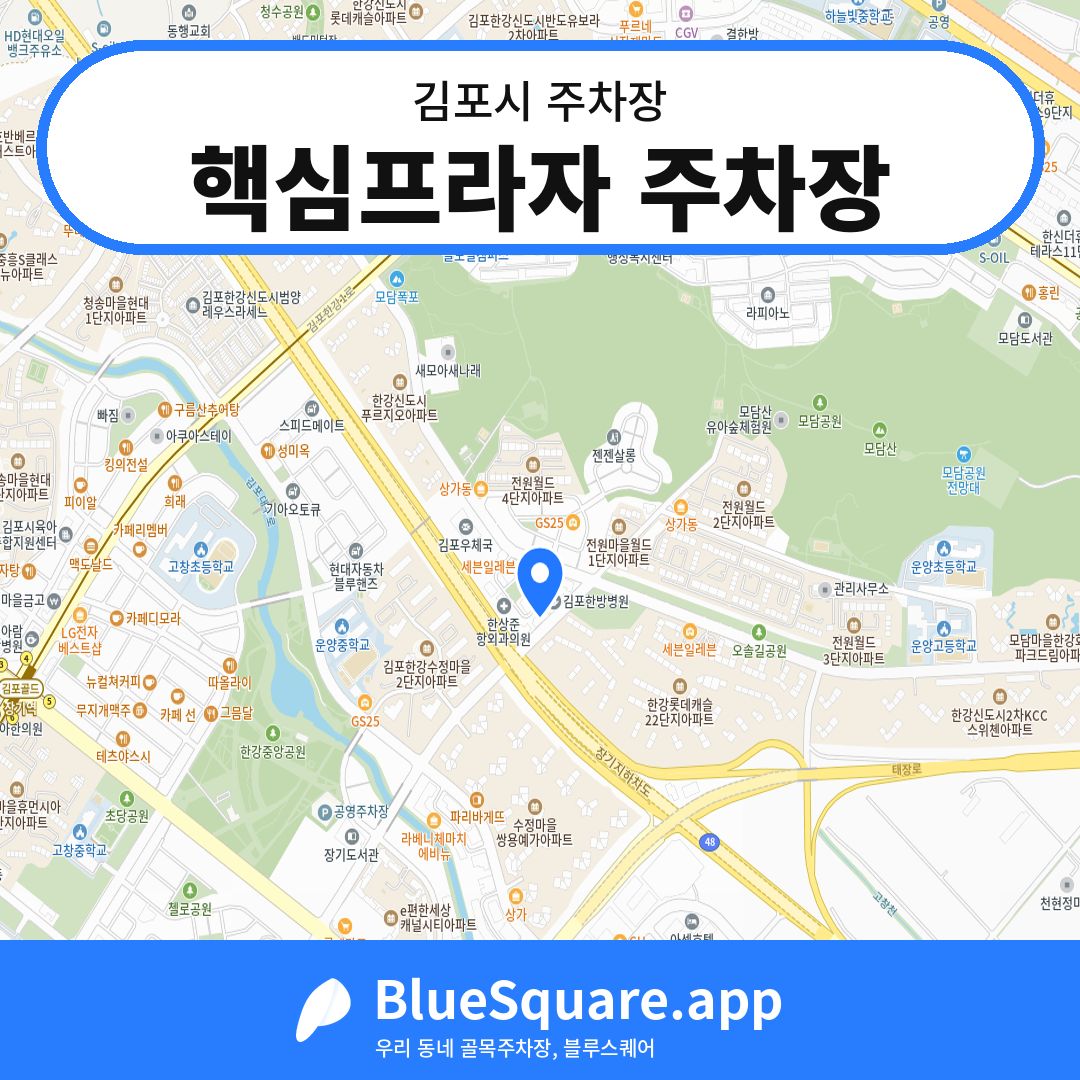 핵심프라자 주차장 위치 지도 — 경기 김포시 | 블루스퀘어 주차