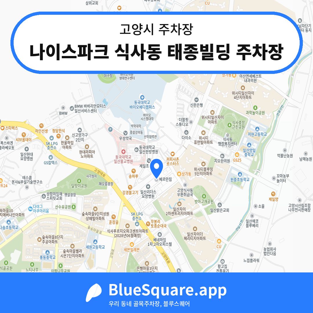 나이스파크 식사동 태종빌딩 주차장 위치 지도 — 경기 고양시 | 블루스퀘어 주차