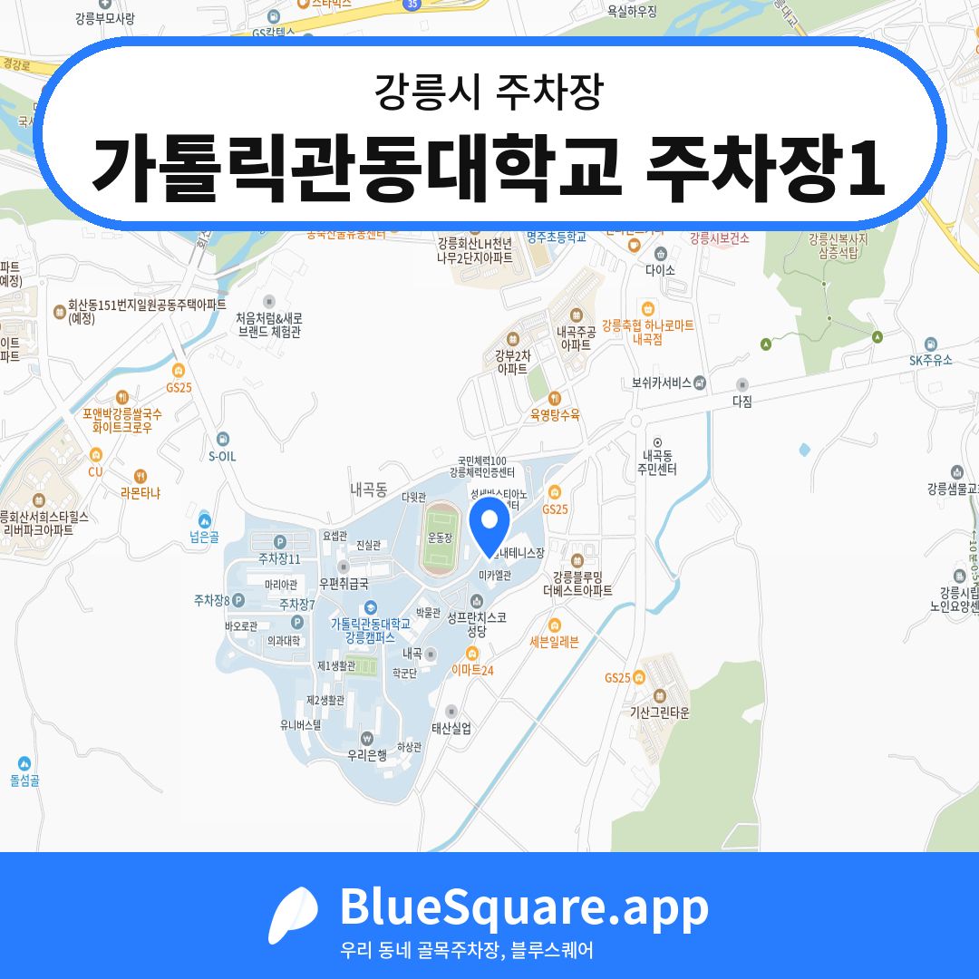 가톨릭관동대학교 주차장1 위치 지도 — 강원 강릉시 | 블루스퀘어 주차