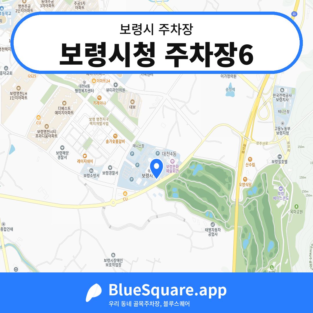 보령시청 주차장6 위치 지도 — 충남 보령시 | 블루스퀘어 주차