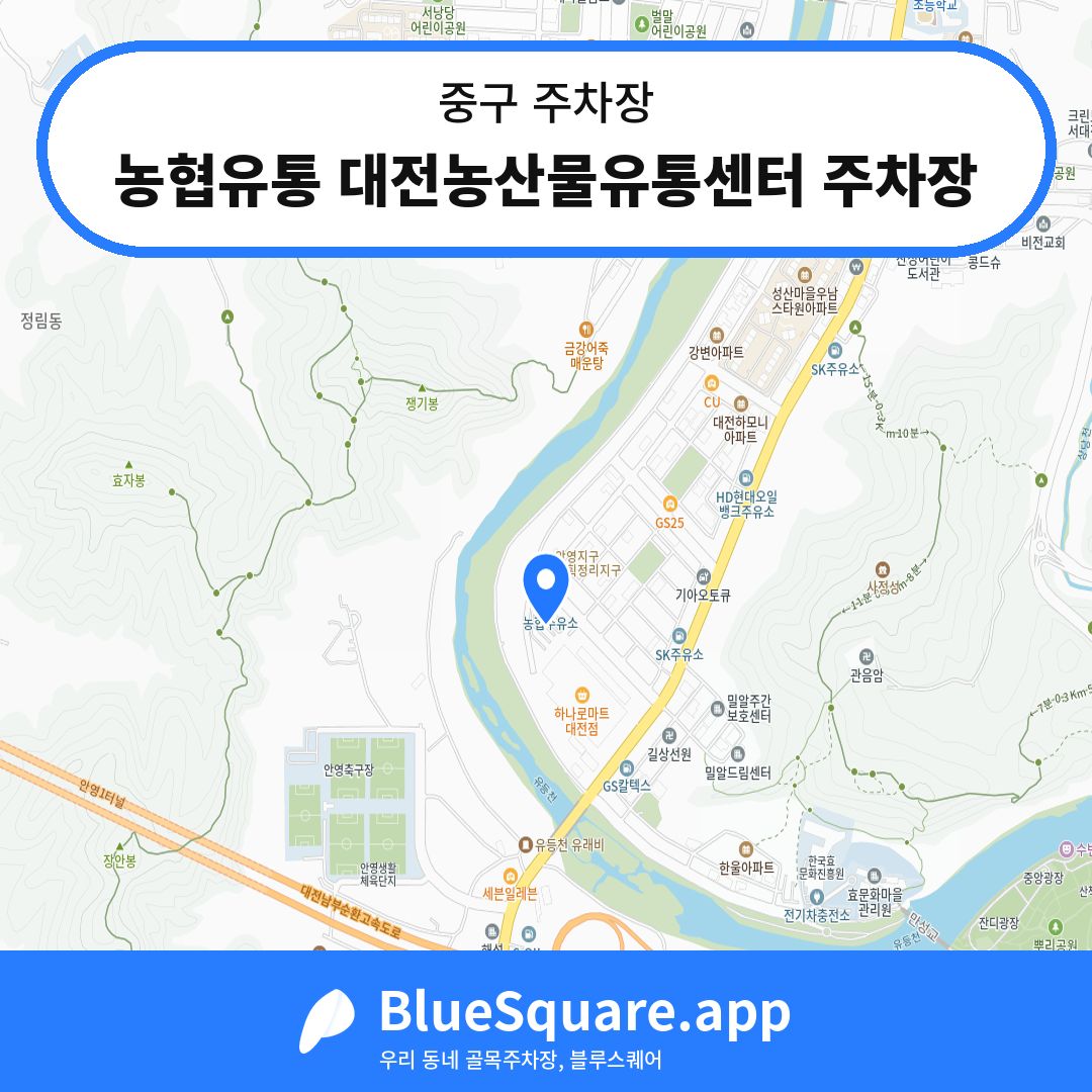농협유통 대전농산물유통센터 주차장 위치 지도 — 대전 중구 | 블루스퀘어 주차