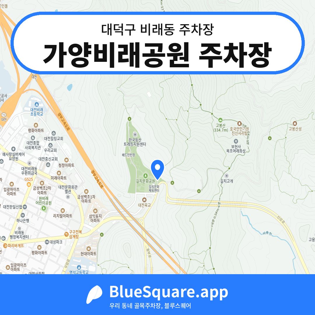 가양비래공원 주차장 위치 지도 — 대전 대덕구 비래동 | 블루스퀘어 주차