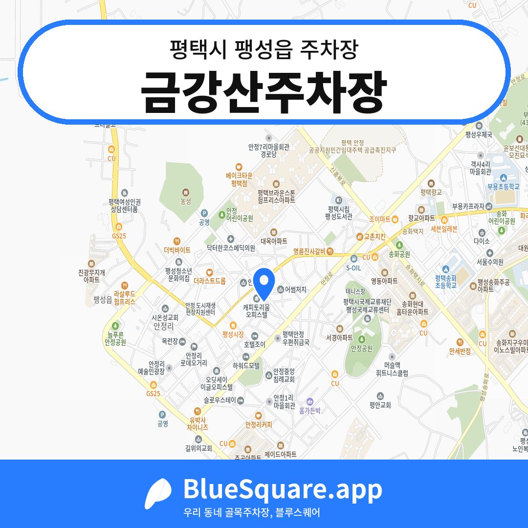 금강산주차장 위치 지도 — 경기 평택시 팽성읍 | 블루스퀘어 주차