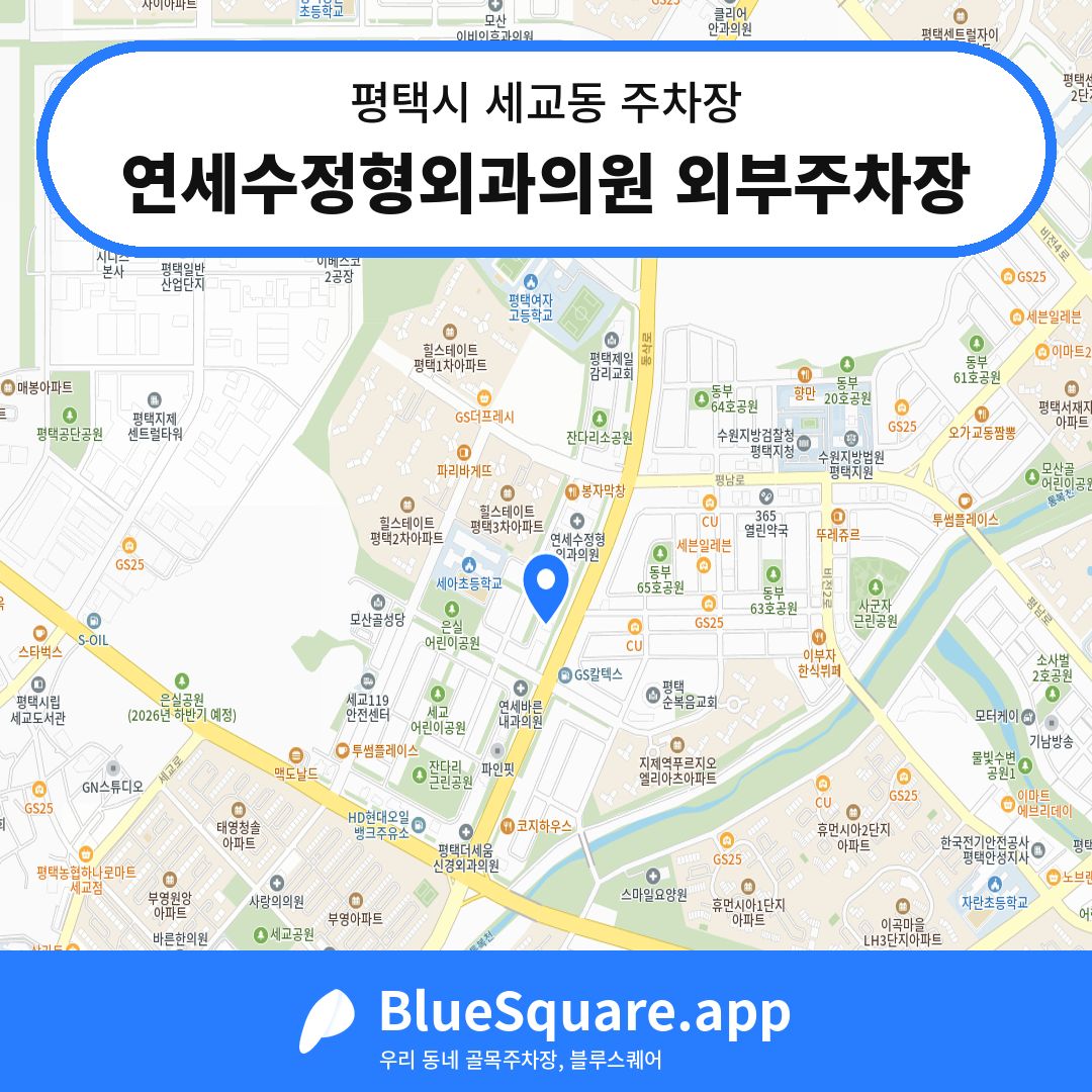 연세수정형외과의원 외부주차장 위치 지도 — 경기 평택시 세교동 | 블루스퀘어 주차