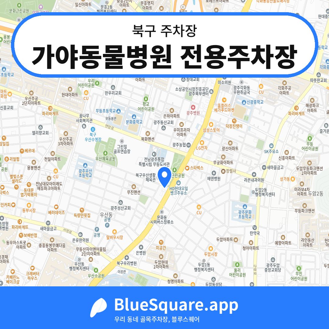 가야동물병원 전용주차장 위치 지도 — 광주 북구 | 블루스퀘어 주차