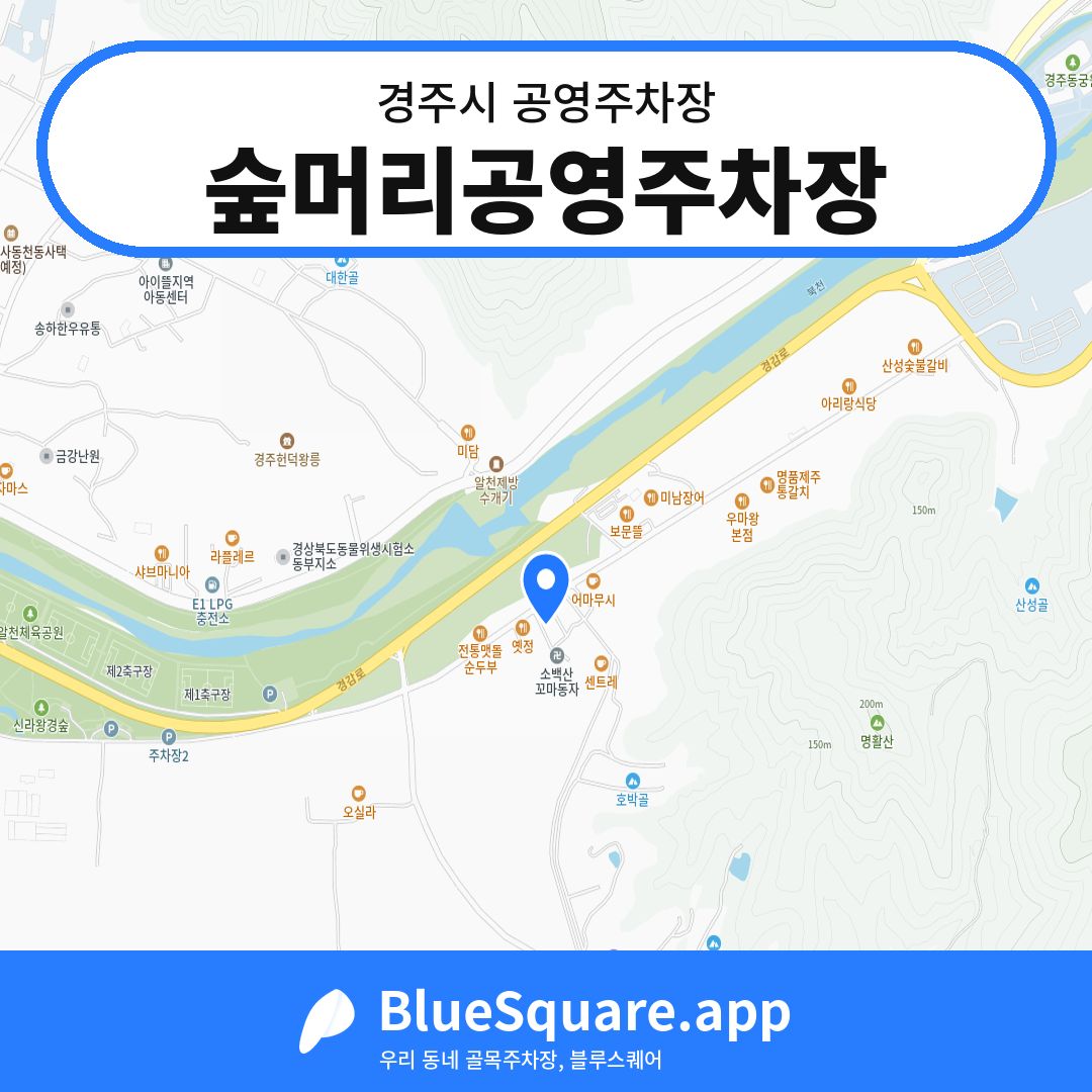 숲머리공영주차장 위치 지도 — 경북 경주시 | 블루스퀘어 주차