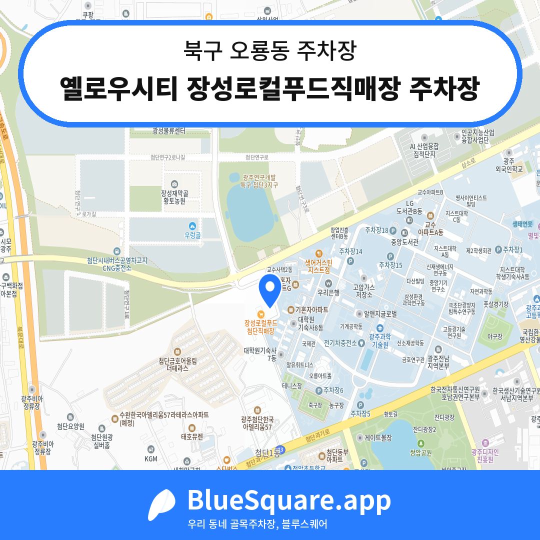 옐로우시티 장성로컬푸드직매장 주차장 위치 지도 — 광주 북구 오룡동 | 블루스퀘어 주차