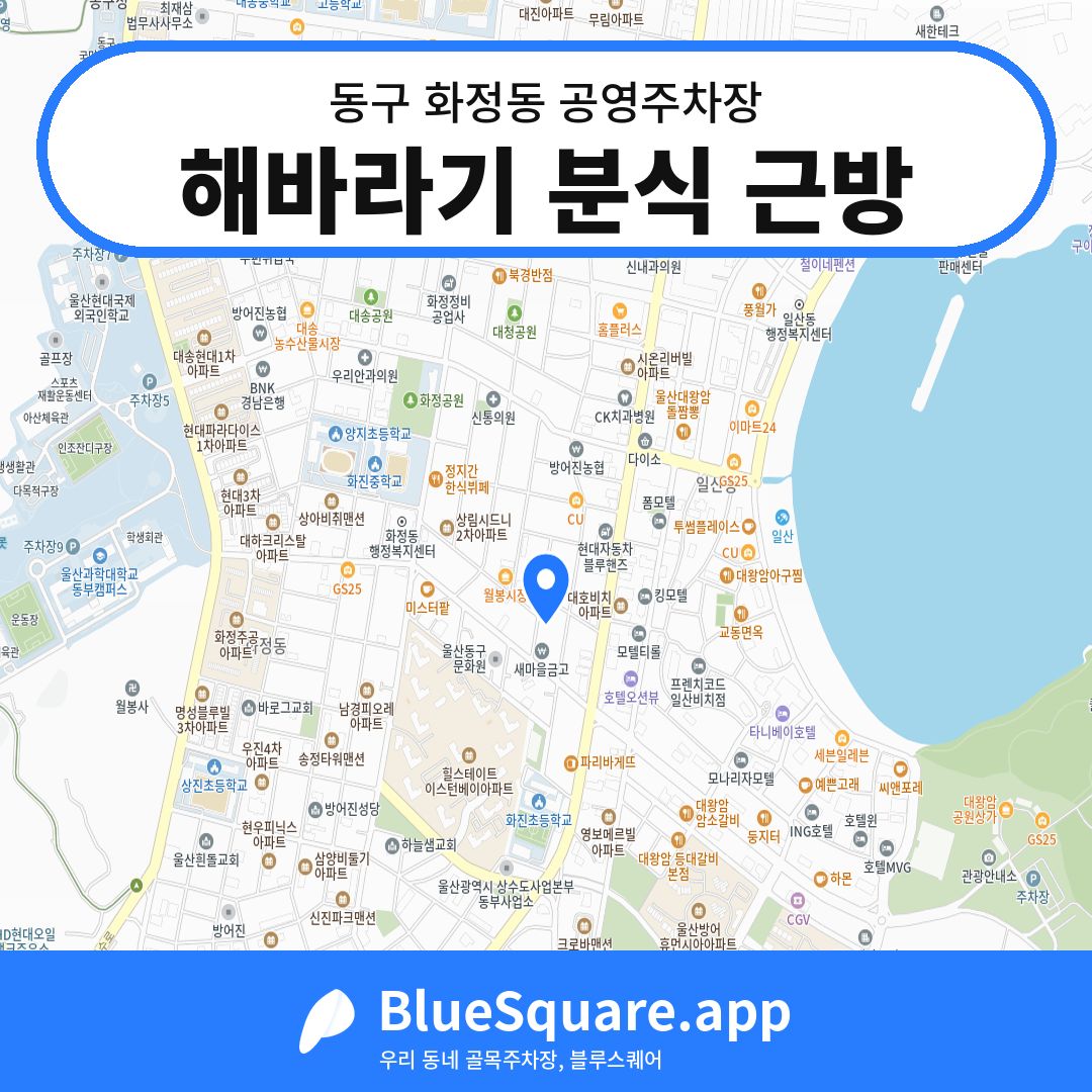 해바라기 분식 근방 위치 지도 — 울산 동구 화정동 | 블루스퀘어 주차