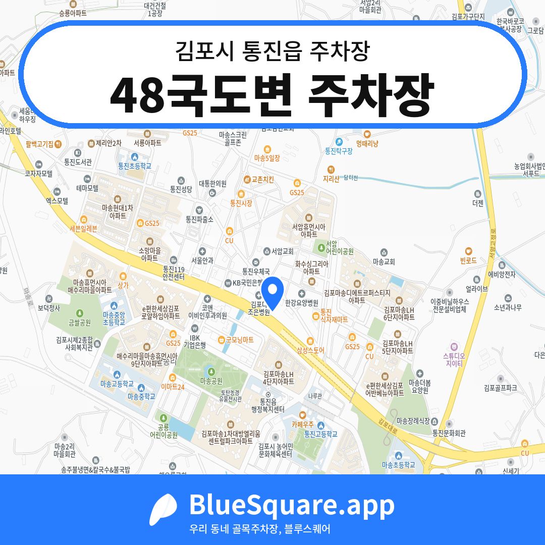 48국도변 주차장 위치 지도 — 경기 김포시 통진읍 | 블루스퀘어 주차