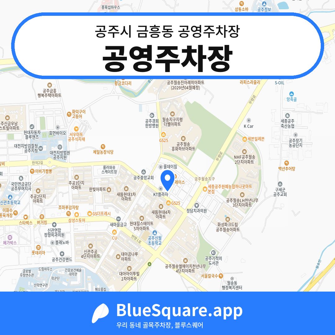 공영주차장 위치 지도 — 충남 공주시 금흥동 | 블루스퀘어 주차