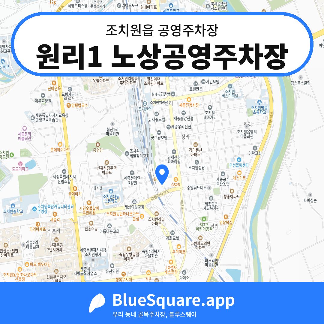 원리1 노상공영주차장 위치 지도 — 세종 조치원읍 | 블루스퀘어 주차