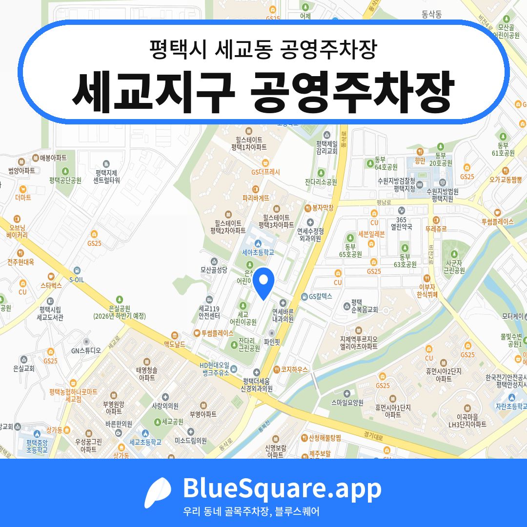 세교지구 공영주차장 위치 지도 — 경기 평택시 세교동 | 블루스퀘어 주차