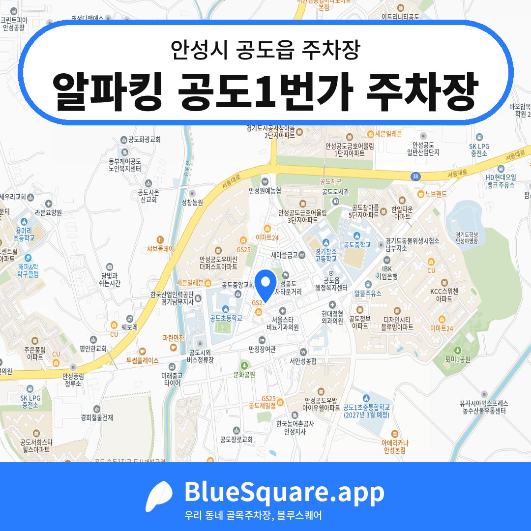 알파킹 공도1번가 주차장 위치 지도 — 경기 안성시 공도읍 | 블루스퀘어 주차