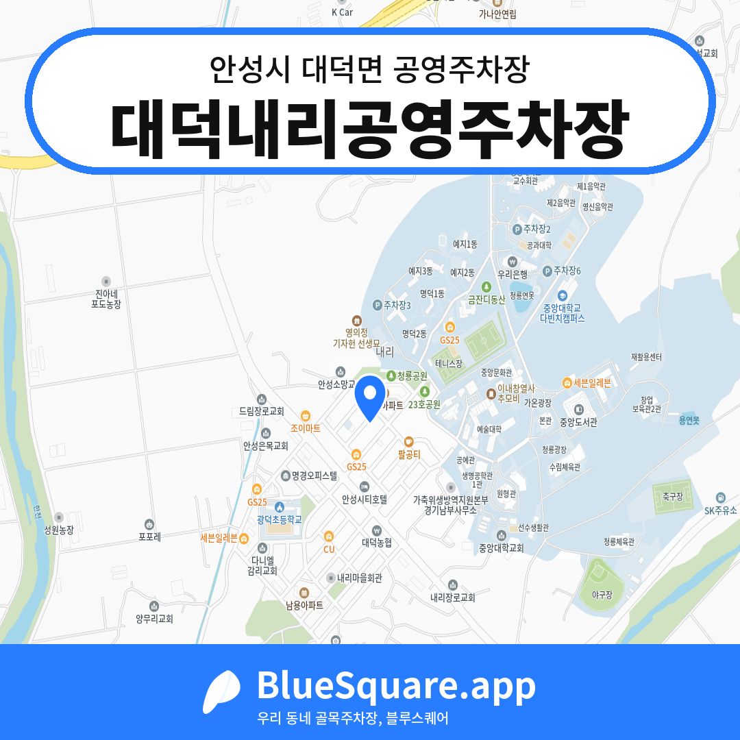 대덕내리공영주차장 위치 지도 — 경기 안성시 대덕면 | 블루스퀘어 주차