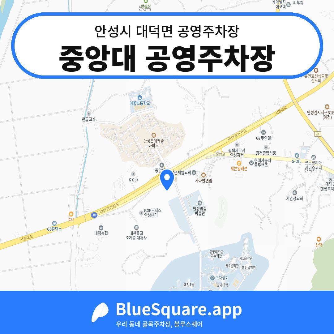 중앙대 공영주차장 위치 지도 — 경기 안성시 대덕면 | 블루스퀘어 주차