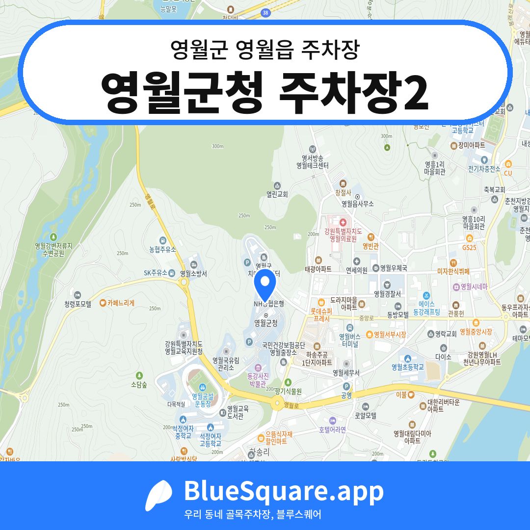 영월군청 주차장2 위치 지도 — 강원 영월군 영월읍 | 블루스퀘어 주차