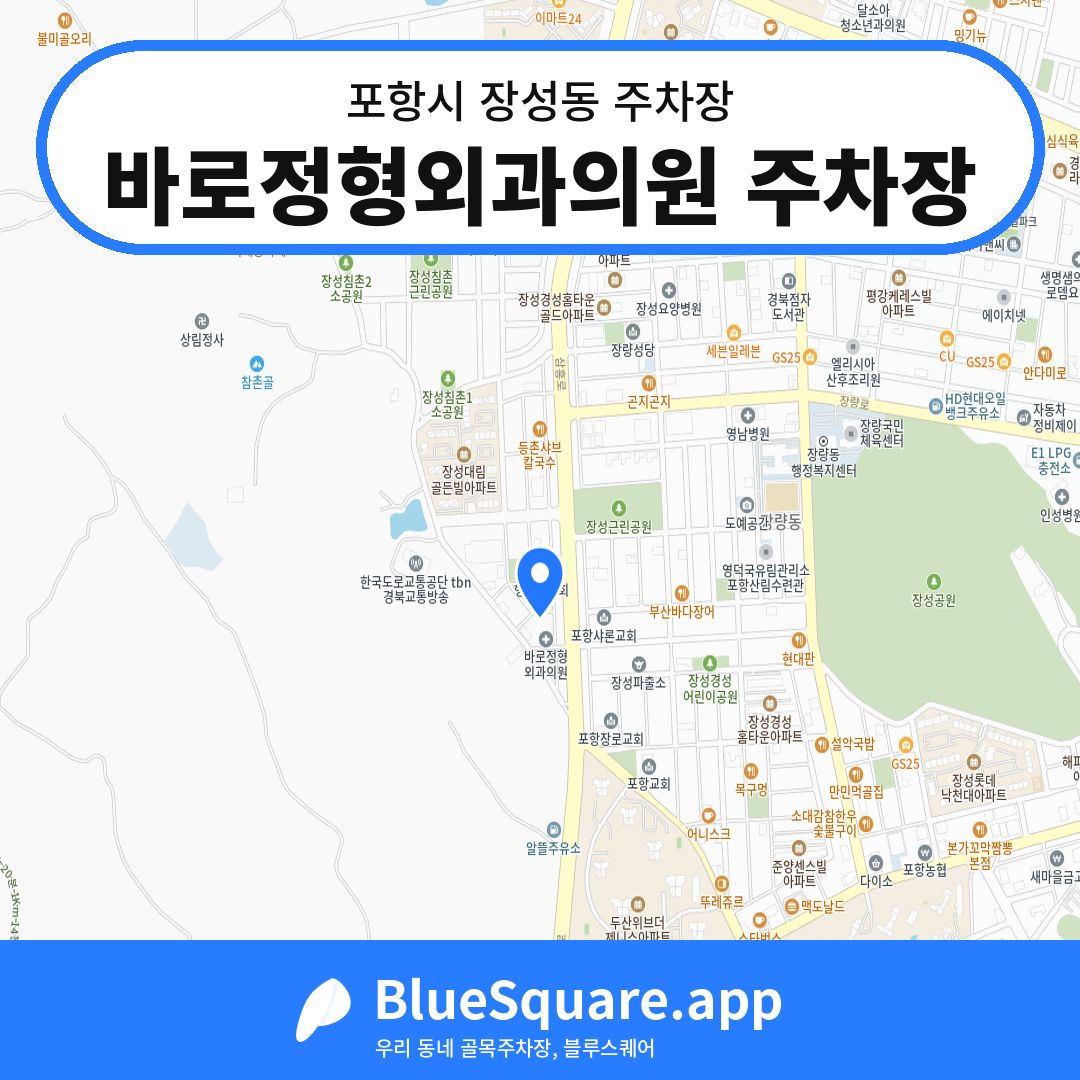 바로정형외과의원 주차장 위치 지도 — 경북 포항시 장성동 | 블루스퀘어 주차