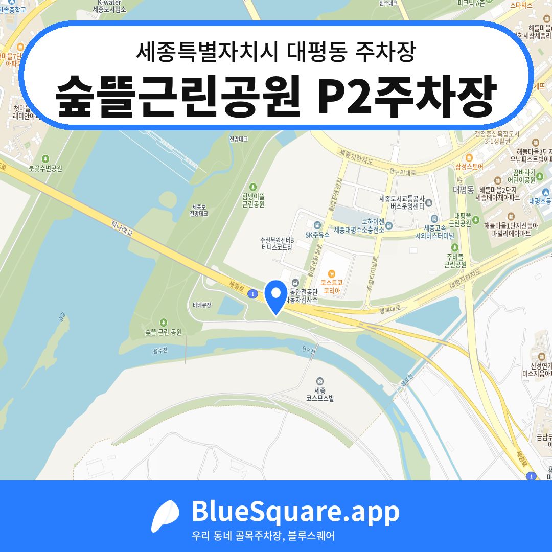 숲뜰근린공원 P2주차장 위치 지도 — 세종 세종특별자치시 대평동 | 블루스퀘어 주차