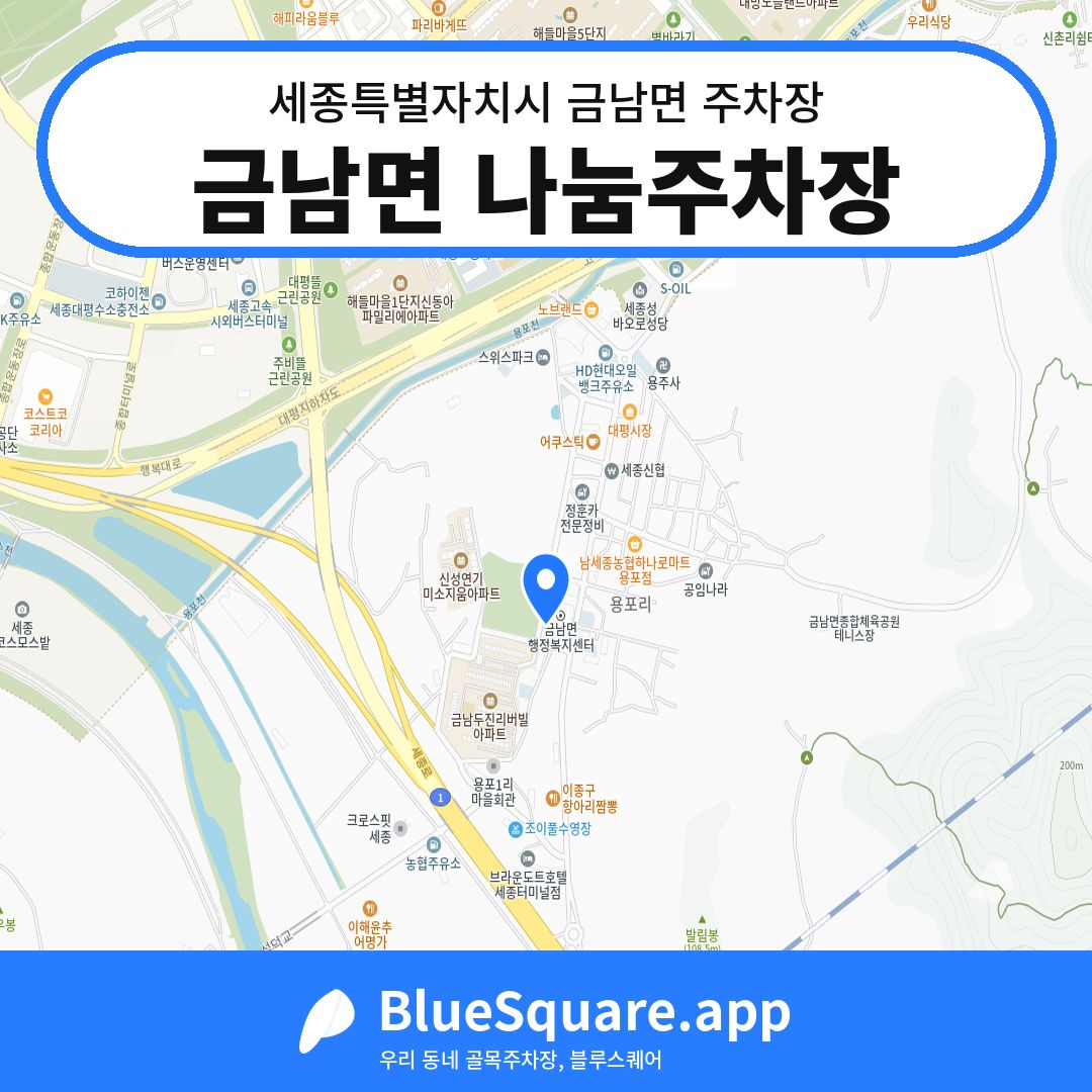 금남면 나눔주차장 위치 지도 — 세종 세종특별자치시 금남면 | 블루스퀘어 주차