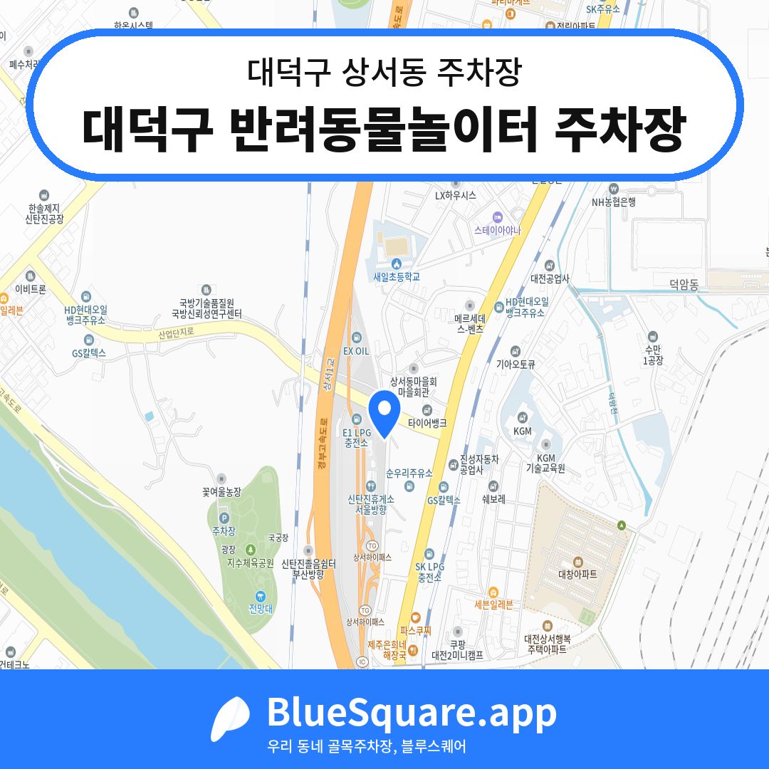 대덕구 반려동물놀이터 주차장 위치 지도 — 대전 대덕구 상서동 | 블루스퀘어 주차