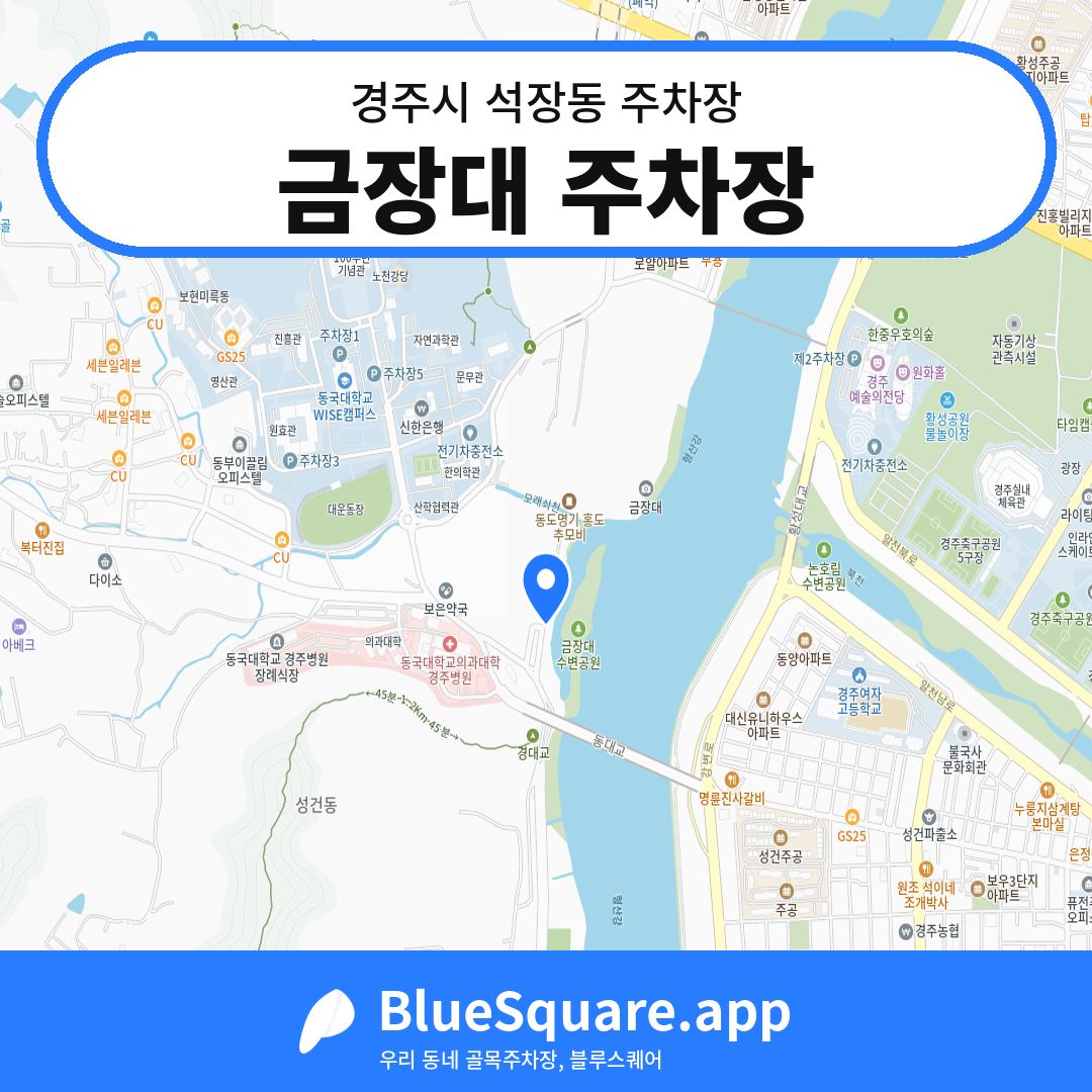 금장대 주차장 위치 지도 — 경북 경주시 석장동 | 블루스퀘어 주차