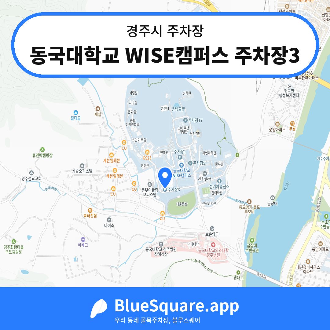 동국대학교 WISE캠퍼스 주차장3 위치 지도 — 경북 경주시 | 블루스퀘어 주차