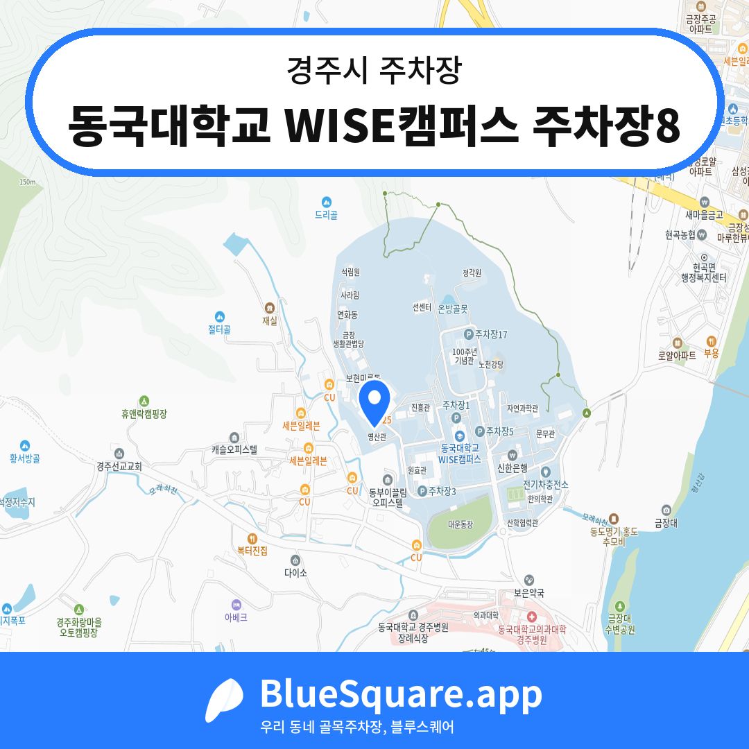 동국대학교 WISE캠퍼스 주차장8 위치 지도 — 경북 경주시 | 블루스퀘어 주차