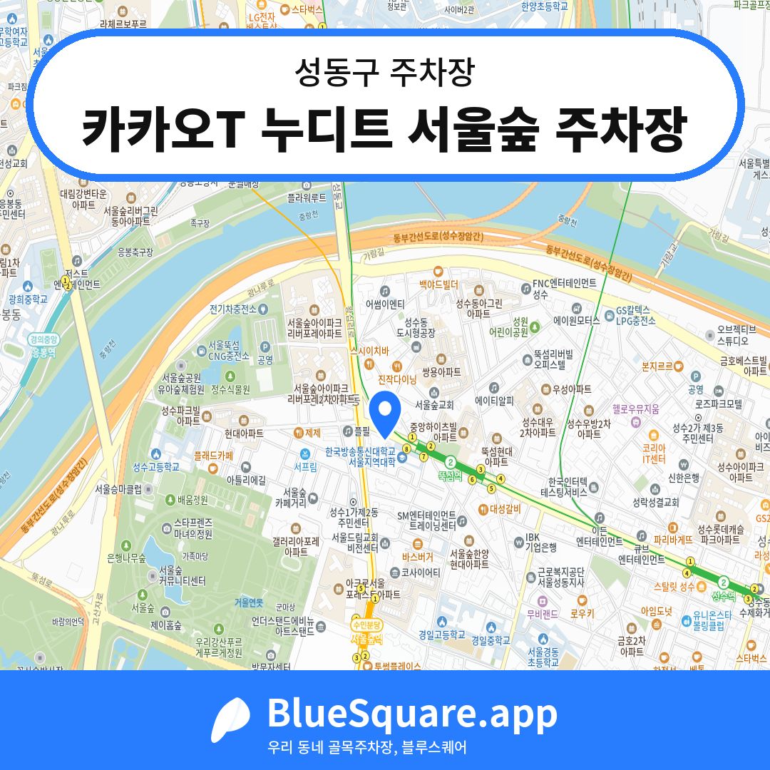 카카오T 누디트 서울숲 주차장 위치 지도 — 서울 성동구 | 블루스퀘어 주차