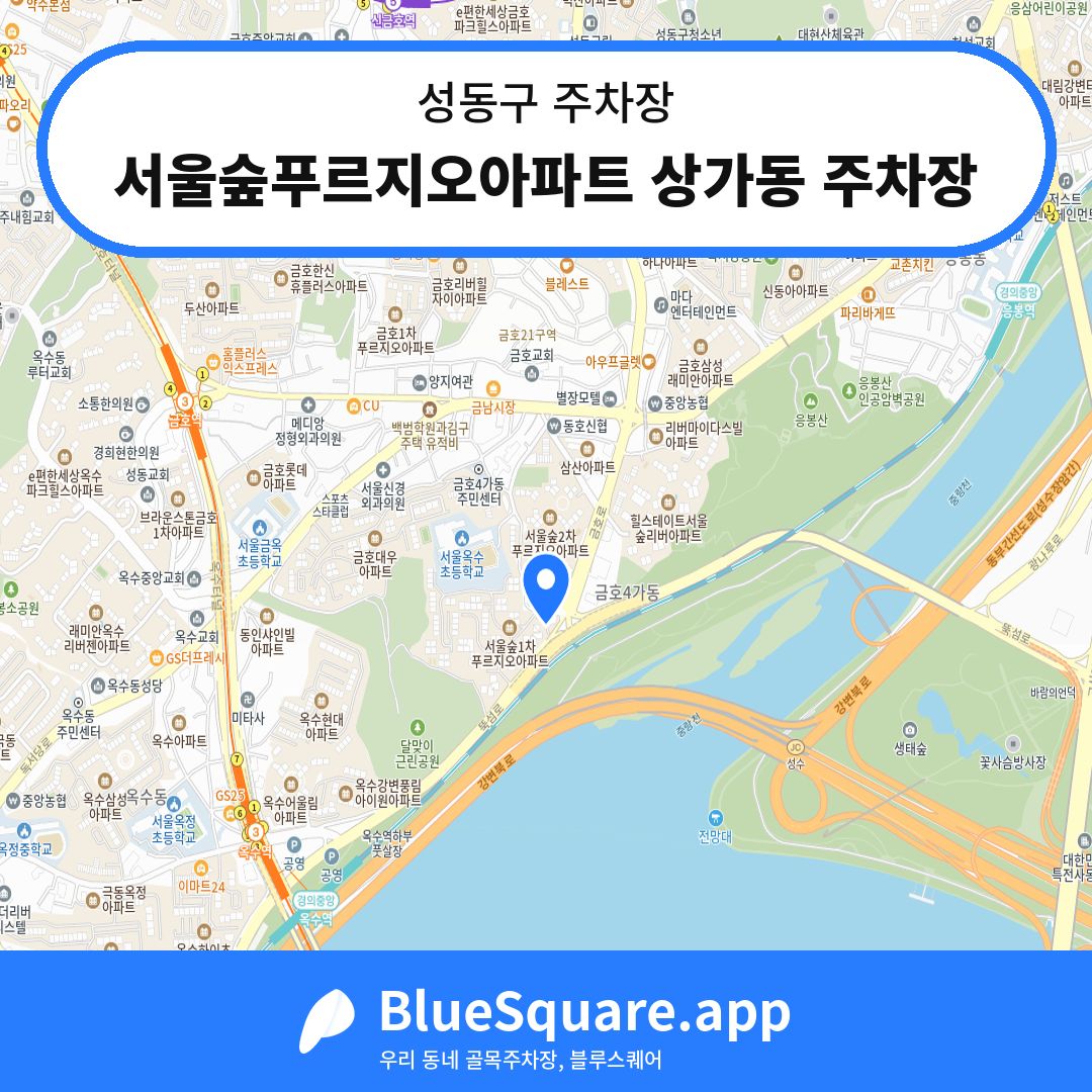 서울숲푸르지오아파트 상가동 주차장 위치 지도 — 서울 성동구 | 블루스퀘어 주차