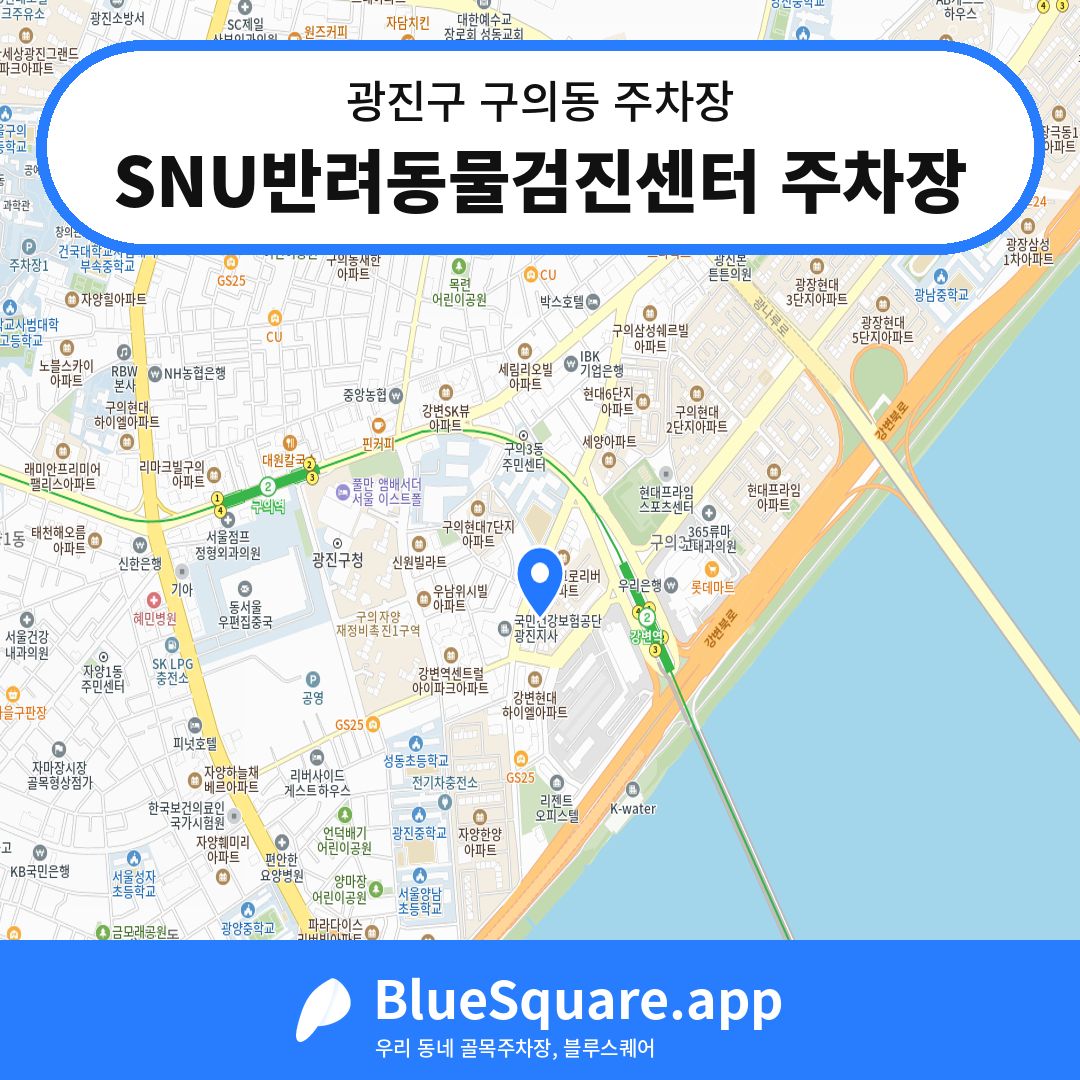 SNU반려동물검진센터 주차장 위치 지도 — 서울 광진구 구의동 | 블루스퀘어 주차