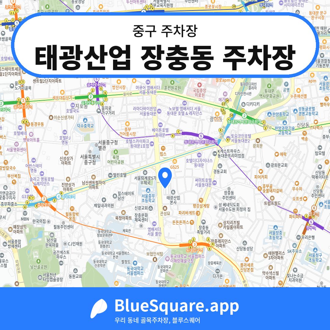 태광산업 장충동 주차장 위치 지도 — 서울 중구 | 블루스퀘어 주차
