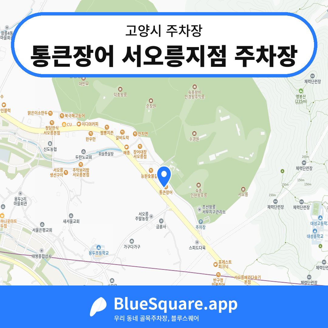 통큰장어 서오릉지점 주차장 위치 지도 — 경기 고양시 | 블루스퀘어 주차