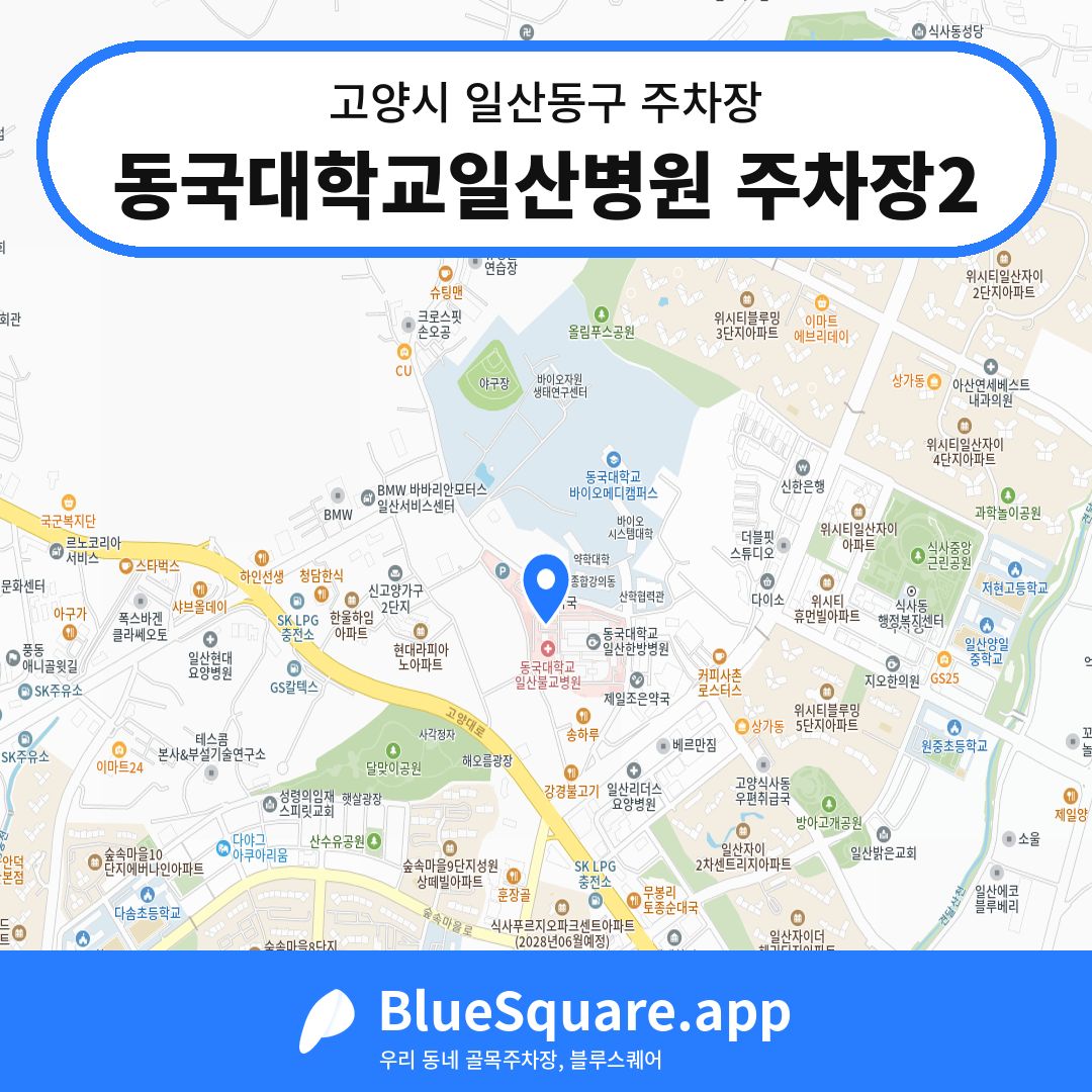 동국대학교일산병원 주차장2 위치 지도 — 경기 고양시 일산동구 | 블루스퀘어 주차