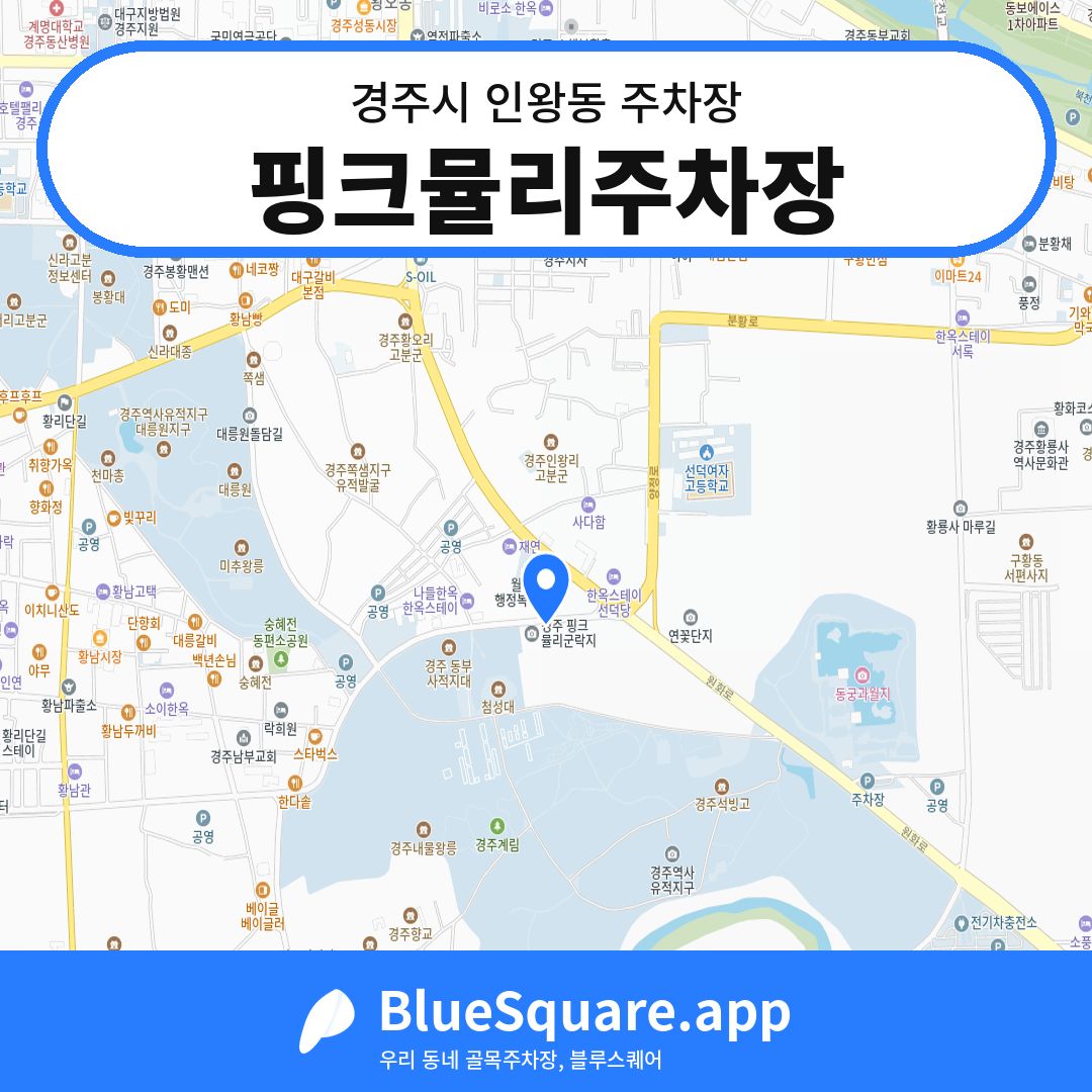 핑크뮬리주차장 위치 지도 — 경북 경주시 인왕동 | 블루스퀘어 주차