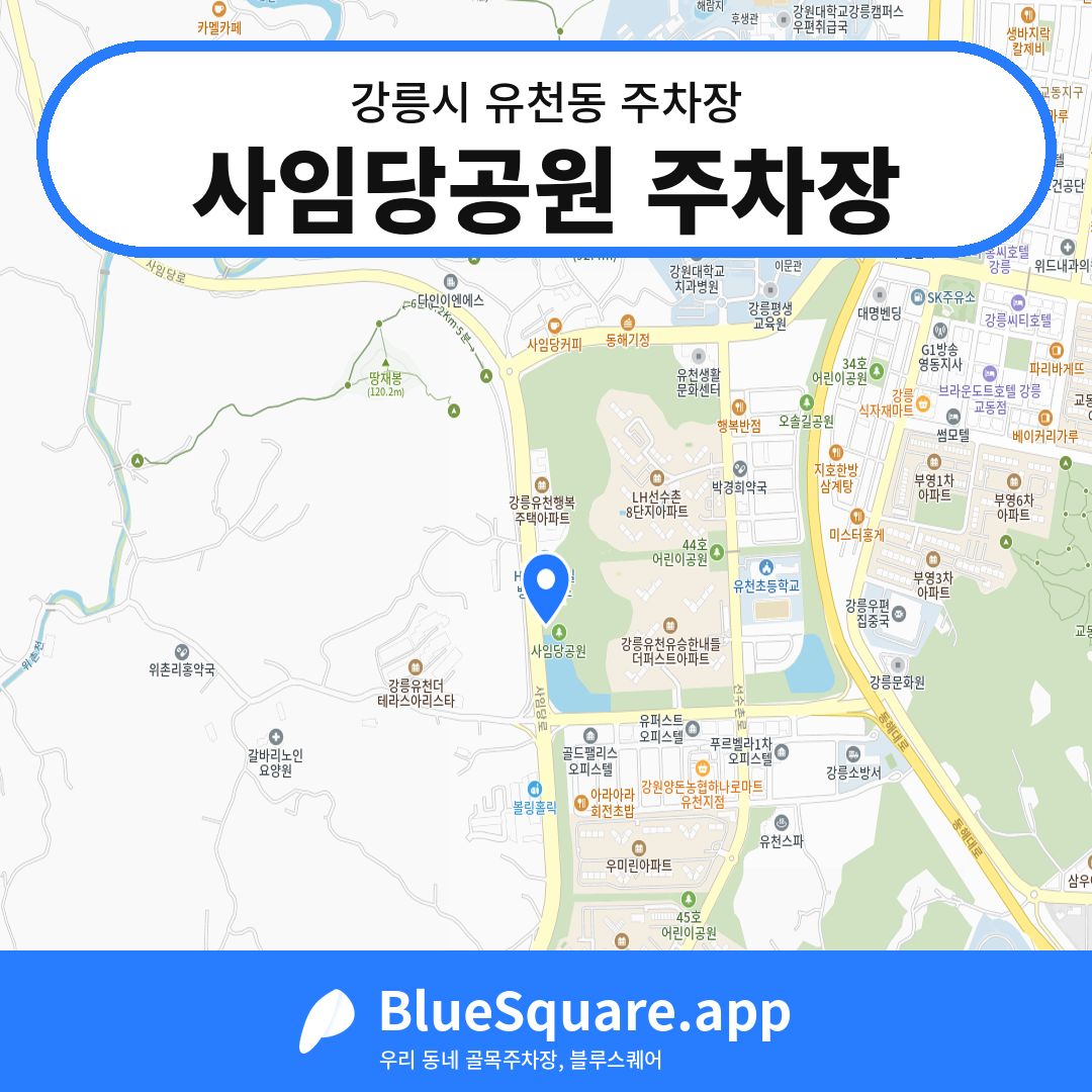 사임당공원 주차장 위치 지도 — 강원 강릉시 유천동 | 블루스퀘어 주차