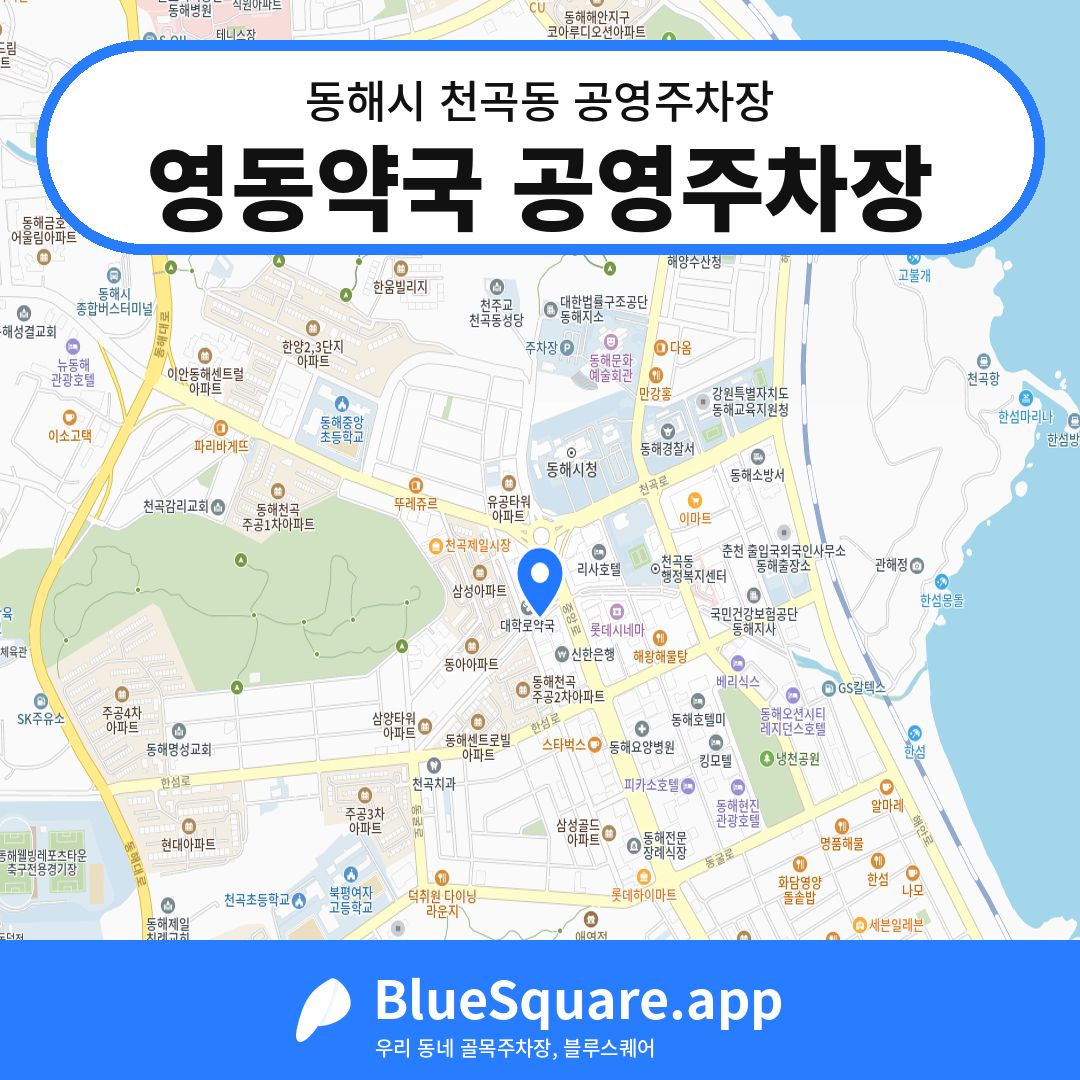 영동약국 공영주차장 위치 지도 — 강원 동해시 천곡동 | 블루스퀘어 주차